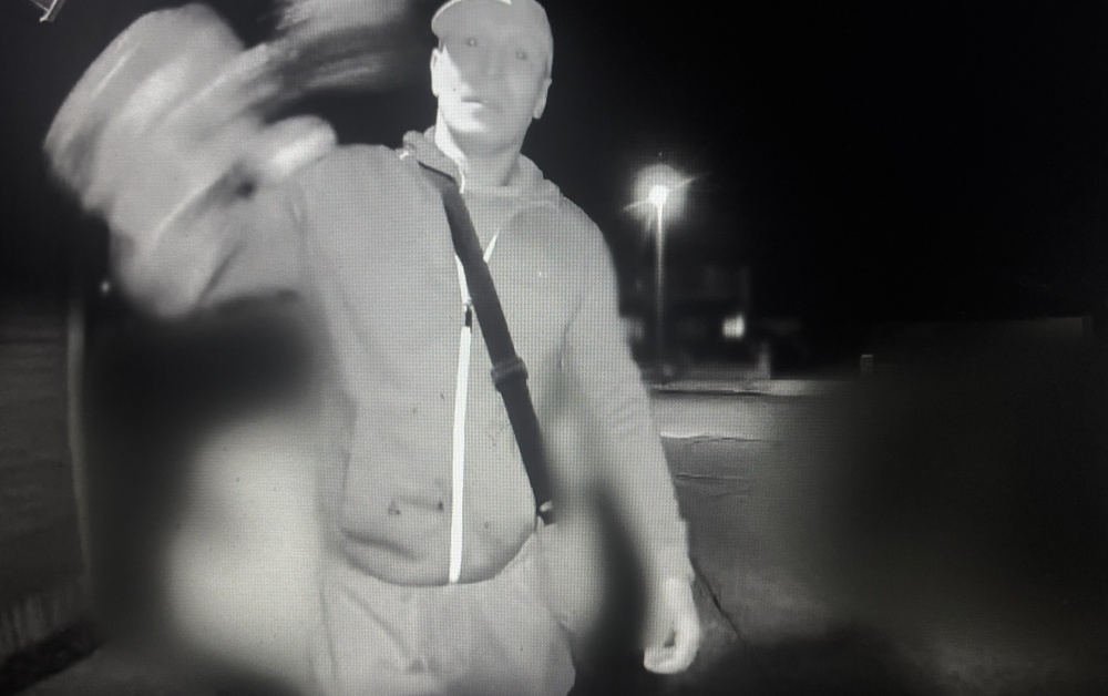 Appeal issued on RTÉ's Crimecall following shocking criminal damage ...