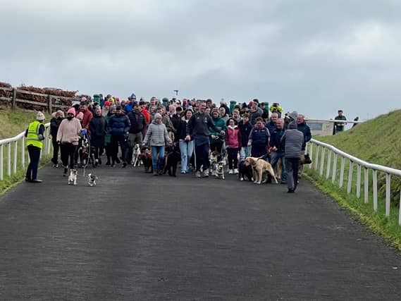 The Annual Curragh Dog Walk
