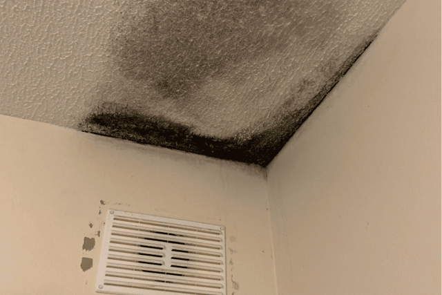 The photograph, which can be viewed below, appears to show mould inside the resident's home.