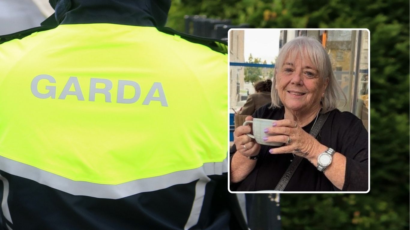 ALERT: Urgent Garda appeal for missing Kildare woman