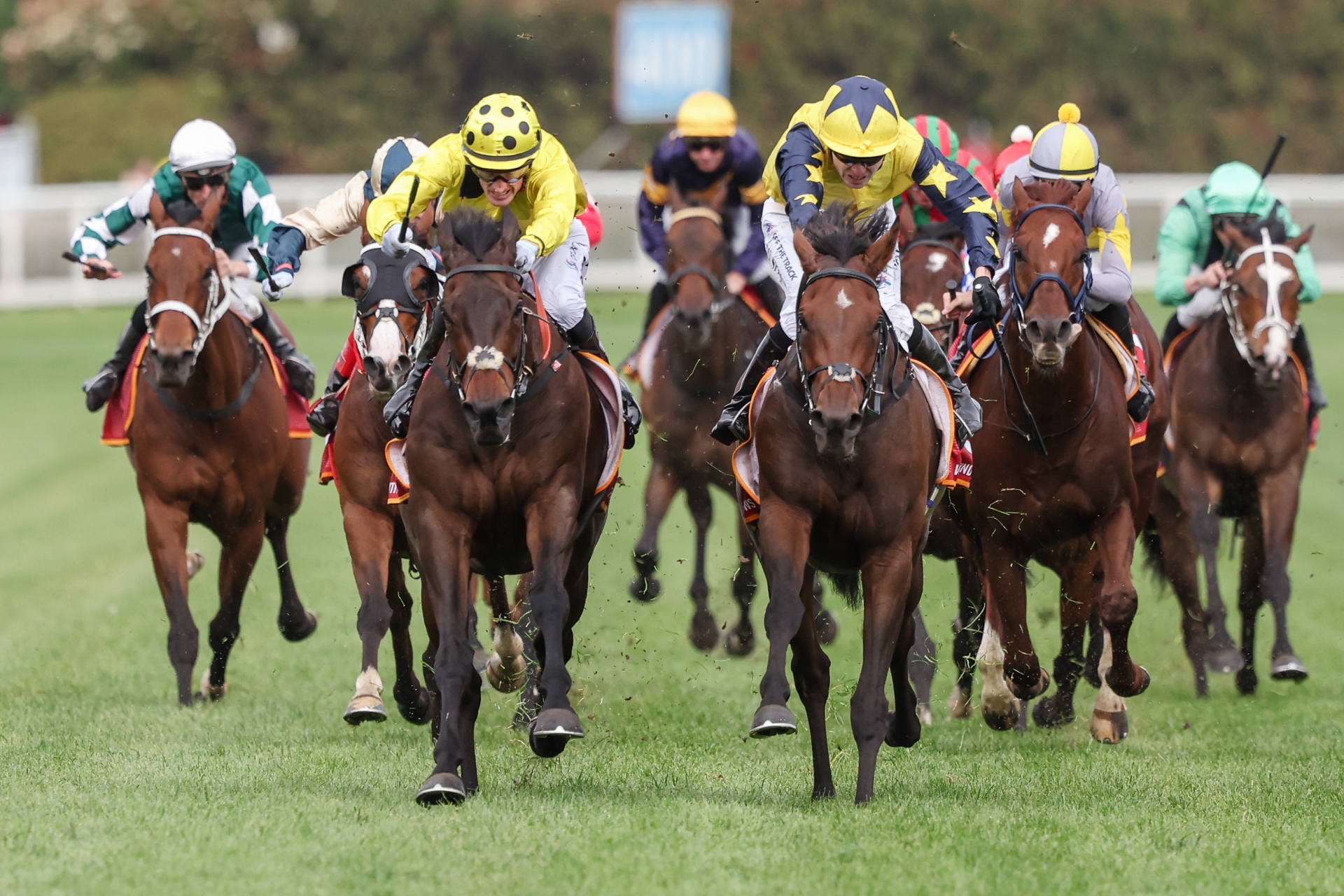 Horse racing in the Spring Carnival in 2023, photo credit: Racing Victoria)
