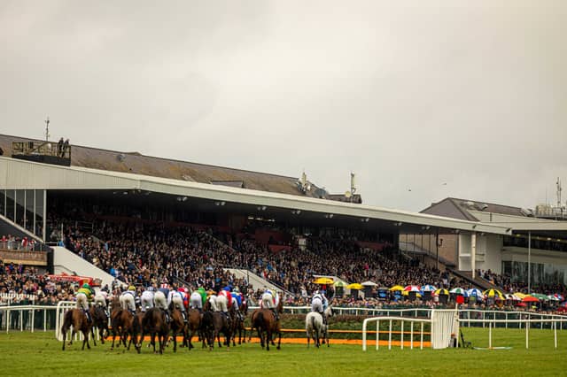 The crowd on the final day of the Punchestown Festival