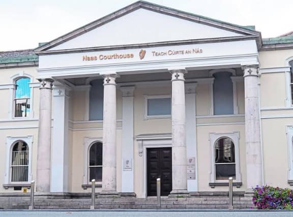 The man's comments were heard at Naas District Court on Thursday, January 11.