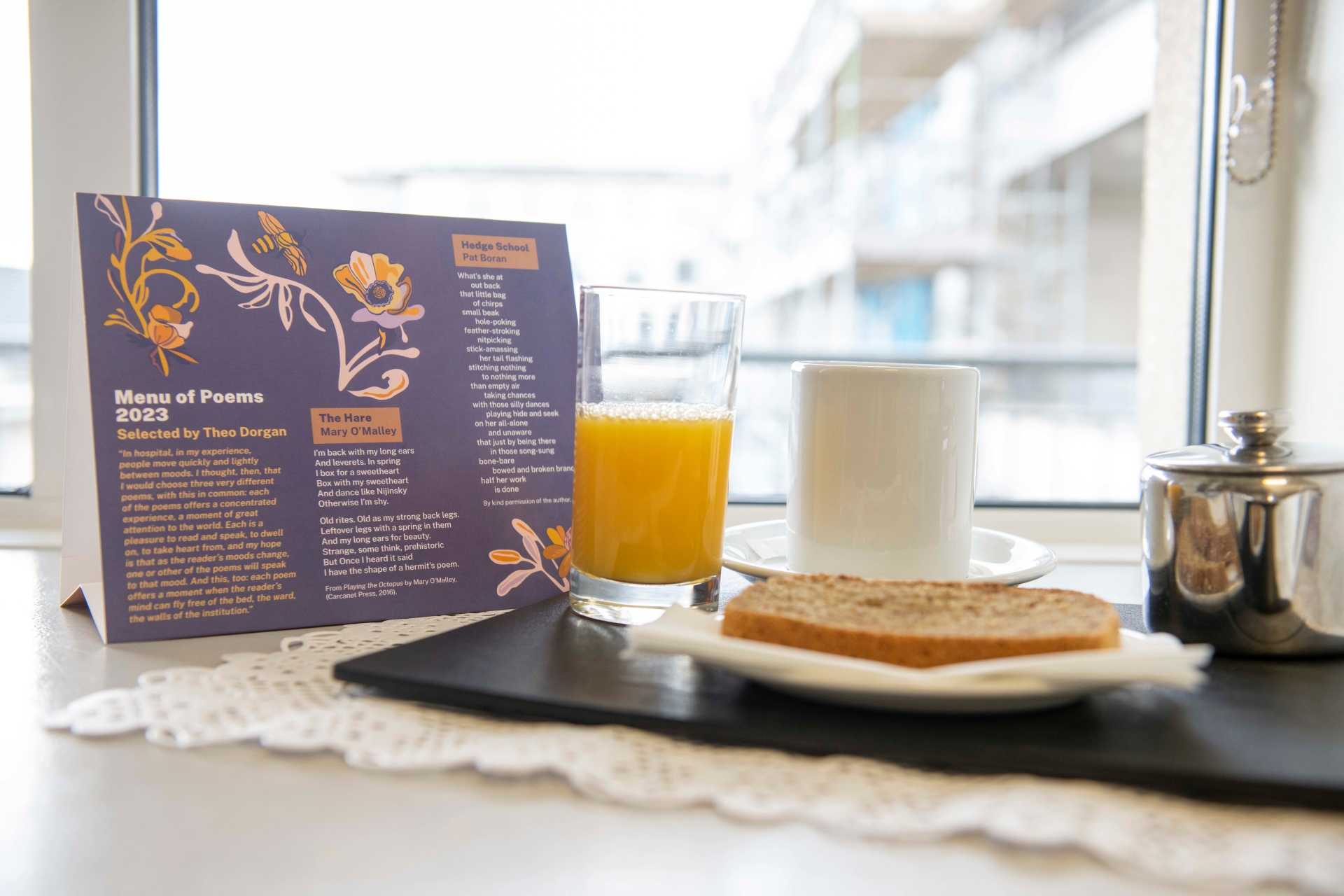Hospitals and nursing homes across Kildare to receive Menu of Poems for ...