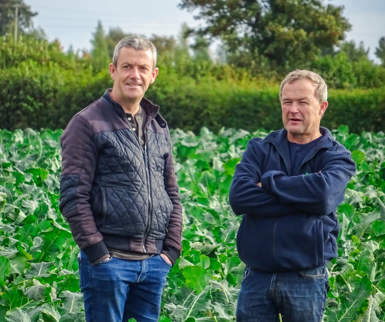 Kildare to feature on RTE show about growing food