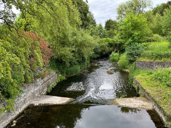 The River Rye