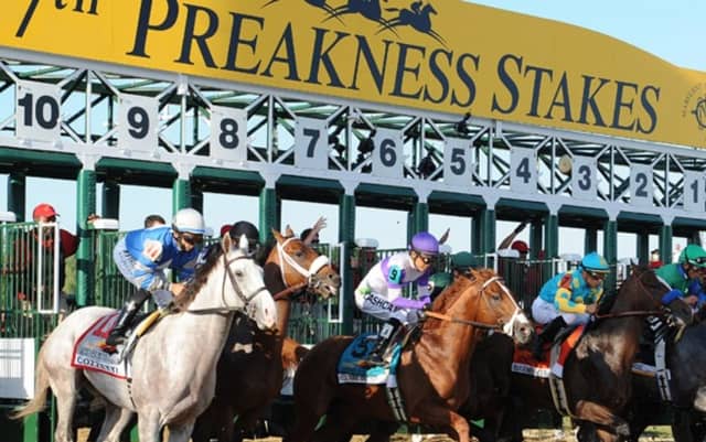Equine MediRecord partners with Preakness Stakes 147