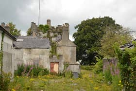 St David's Castle, Naas