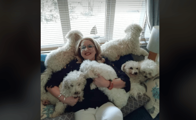 Philomena Duffy pictured with her beloved dogs Zak, Shelby, Max, Heidi, Ben and Oscar