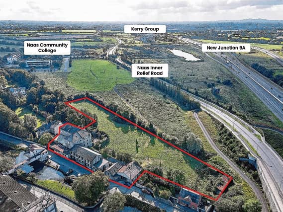 The Leinster Mills site in Naas