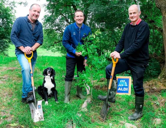 The native trees will create a wildlife corridor for native species and enhance biodiversity, while also removing more than 160,000 tonnes of carbon emissions over their 100-year life span.