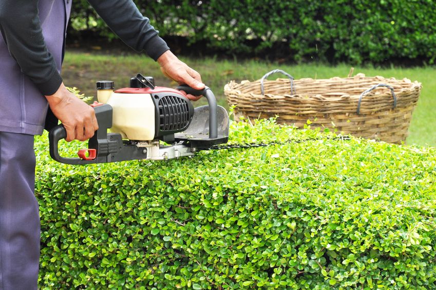Landscape Gardening worker required