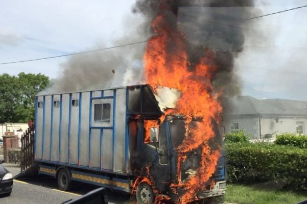 PHOTOS: Horses have miracle escape as horse truck bursts into flames