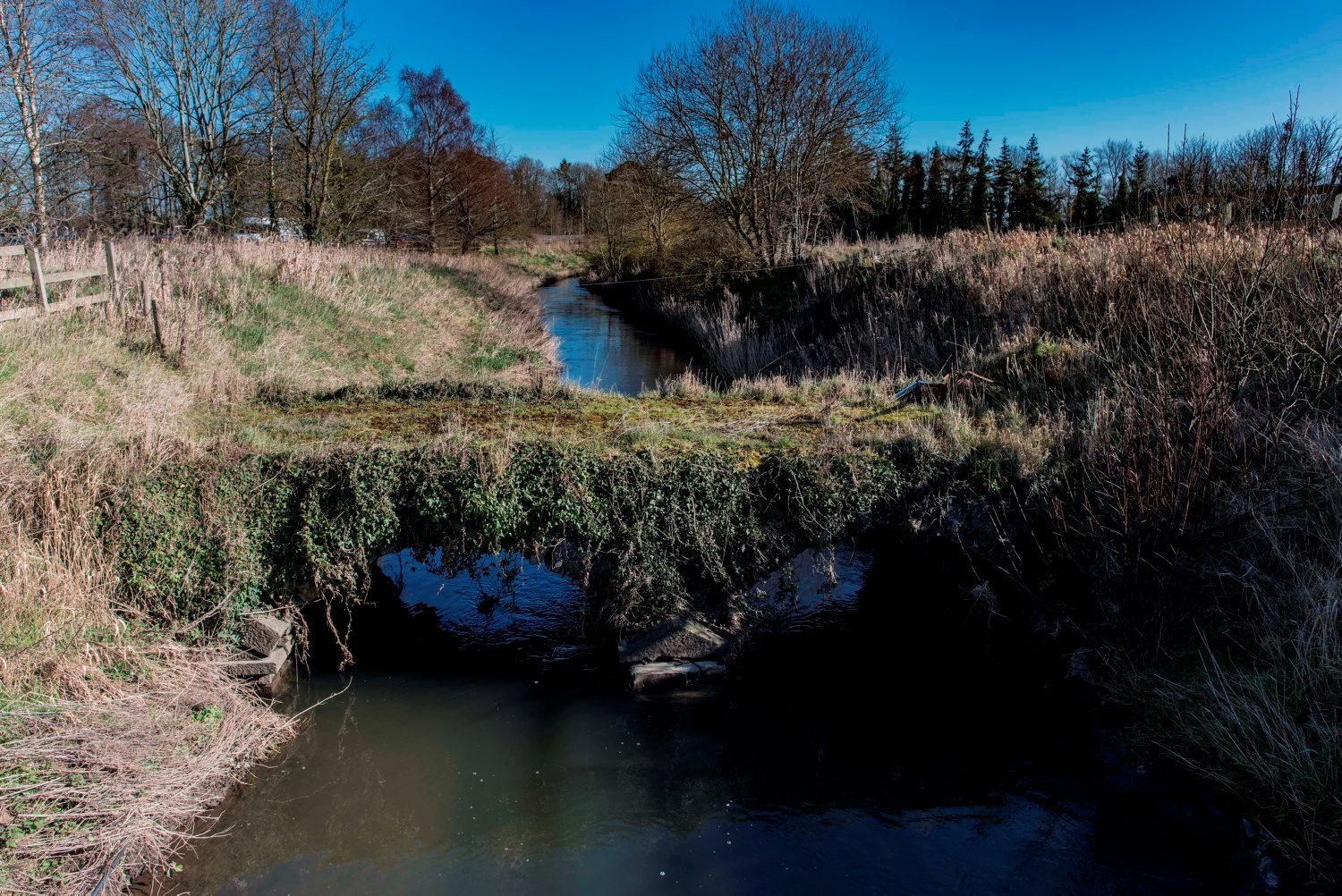 13-year-old who drowned in Maynooth river identified