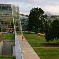 Help is available for community gardens in Kildare