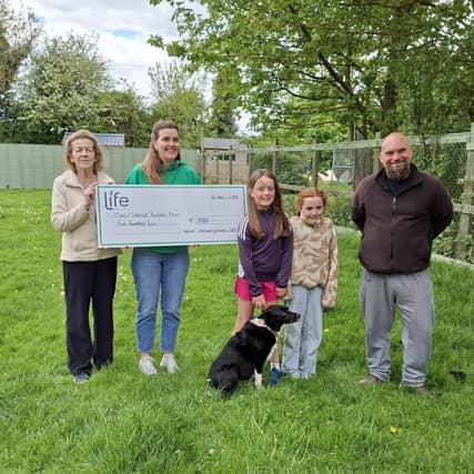 'So thoughtful': Kildare girls and credit union donate bake sale proceedings to animal charity