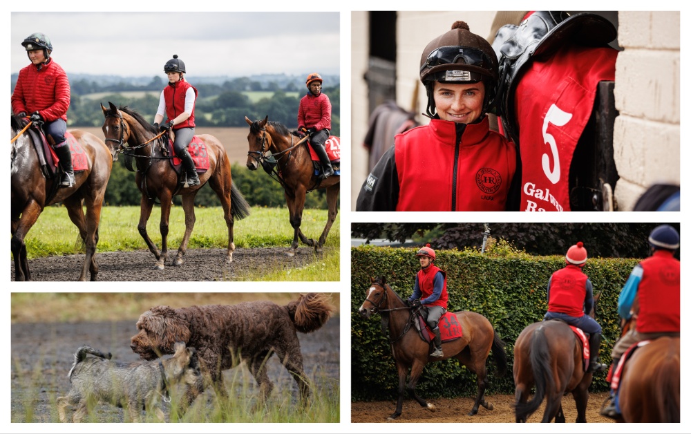 PHOTOS: Jessica Harrington opens gates to her Kildare yard ahead of ...