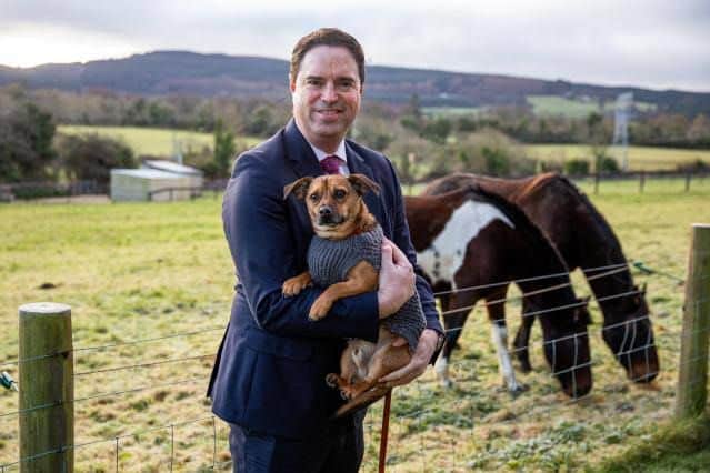 New measures planned in Kildare to combat cruelty against dogs by breeders