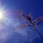 UPDATE: Mét Eireann issues new Weather Advisory Alert for Kildare