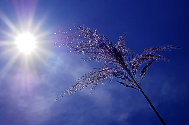 UPDATE: Mét Eireann issues new Weather Advisory Alert for Kildare