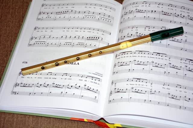 'Let's celebrate Irish culture': Fleadh Cheoil event planned for this Kildare town
