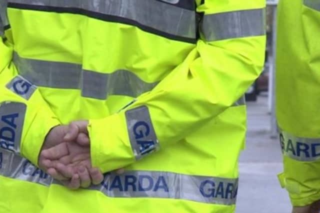 Kildare gardaí issue appeal for burglar who fled target's home after being startled