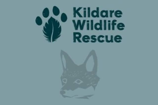 Kildare wildlife group help 'very worried' woman following unusual discovery