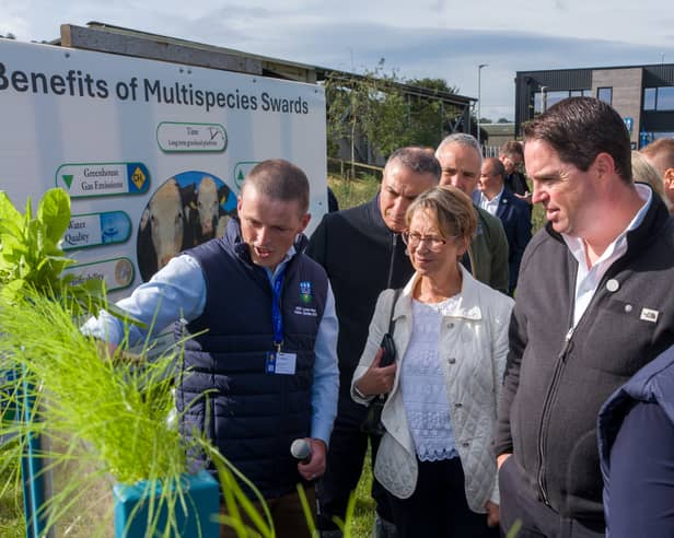 UCD’s Tommy Boland explaining benefits of grass grazing and multispecies swards
to EU delegation and Minister for Agriculture, Food and the Marine Martin Heydon, during
the group’s visit to UCD’s Lyons Farm in Kildare.