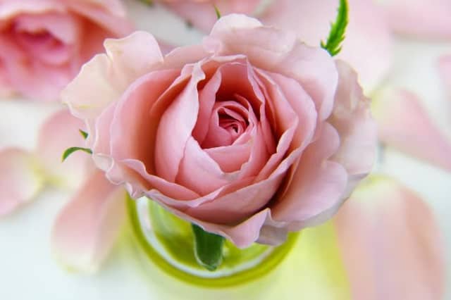 Kildare Death Notices for Wednesday, September 9, 2026