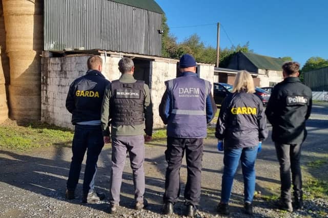 A photograph from the search operation