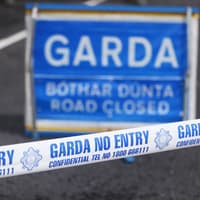 UPDATE: Man dies following collision between car and truck near Kildare border