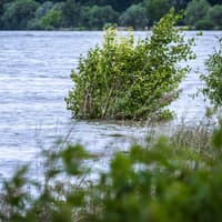 Massive flooding event to be remembered at upcoming Kildare event