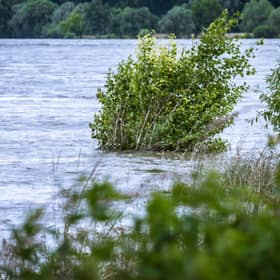 Massive flooding event to be remembered at upcoming Kildare event