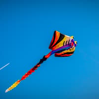 Halloween kite flying event aims to raise funds for Gaza