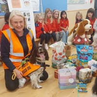 “A wonderful group of children” - Kildare animal shelter volunteers visit Sallins Ladybirds and Brownies