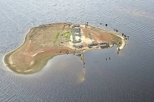 During a dry spell several years ago, the water levels dropped at Blessington Lakes to reveal signs of past lives