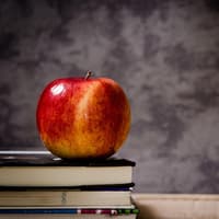 'Delivery will be key' for new Kildare secondary school – TD