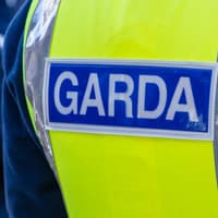 Gardaí investigating theft of two cars from this Kildare estate
