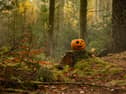 Kildare garda issues safety reminder ahead of Halloween 2026