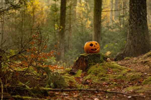 Kildare garda issues safety reminder ahead of Halloween 2026