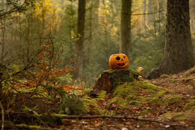 Kildare garda issues safety reminder ahead of Halloween 2026