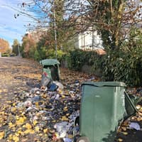 Spate of bin fires at Kildare primary school and several homes last night