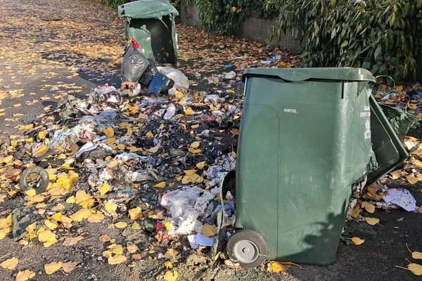 School bins set on fire
