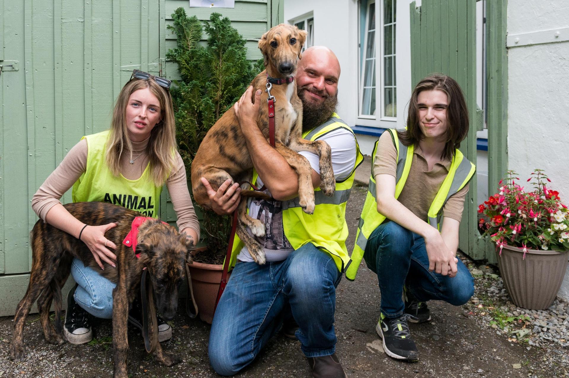 GALLERY All the snaps from Kildare Animal Foundation Open Day Page 1