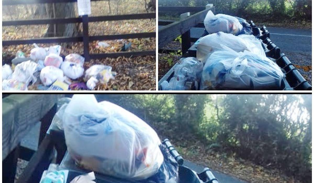 Cemetery falls victim to illegal dumping of household waste Kildare Now