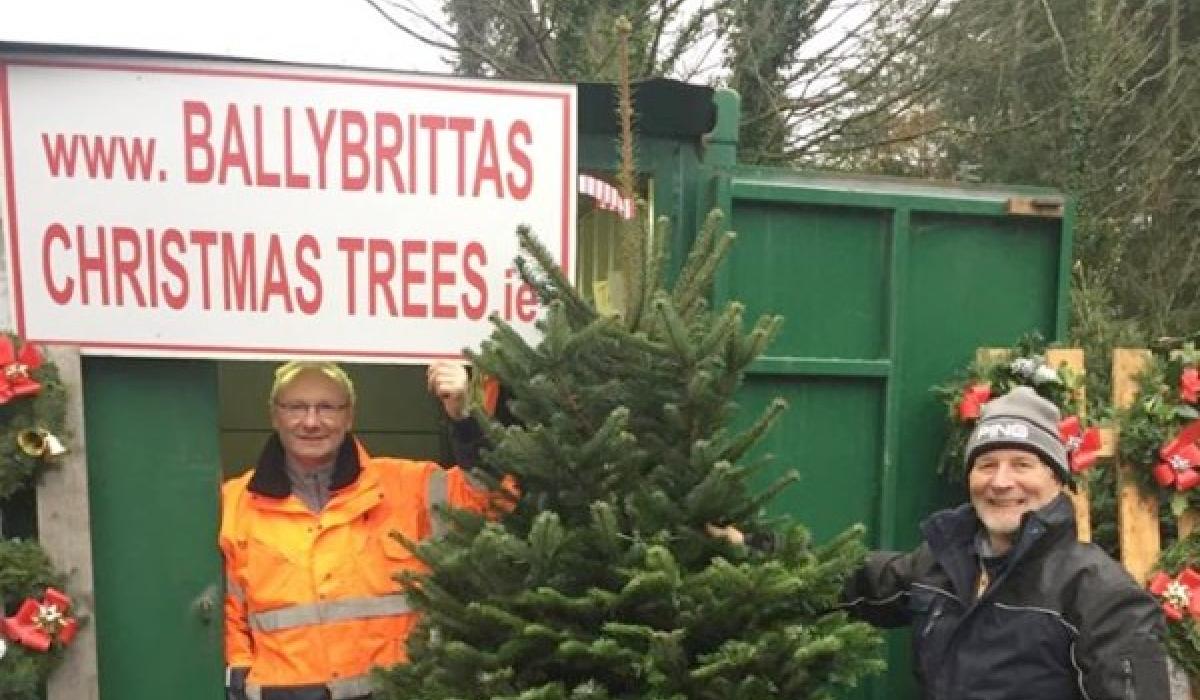 Busy few days ahead for Christmas Tree depot only five minutes from M7