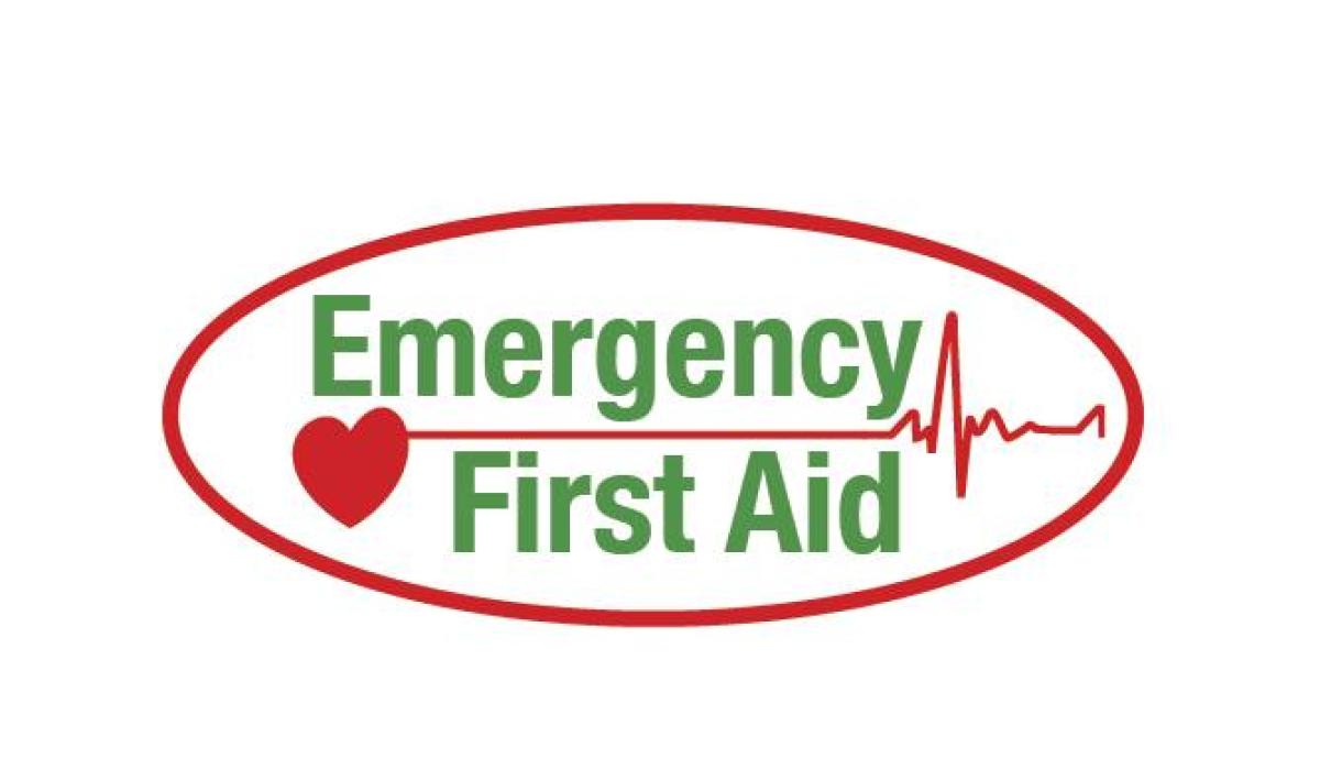 New courses in Kildare to help you learn life skills or improve job