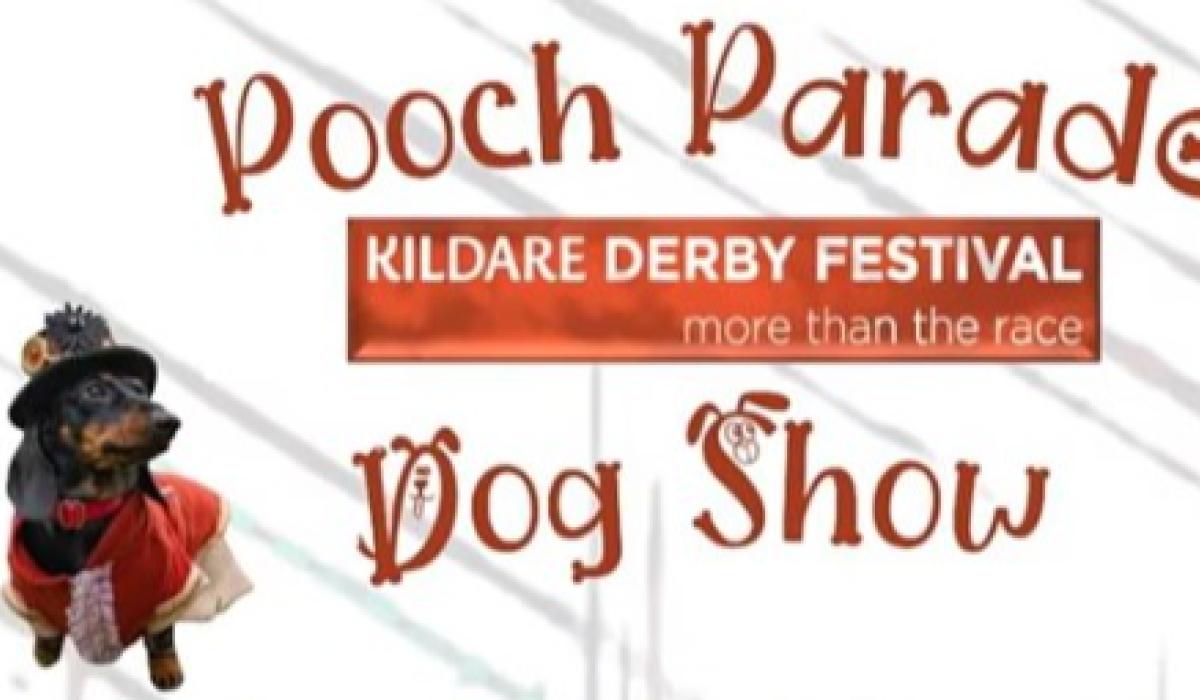 Why Are Dogs Called Pooch