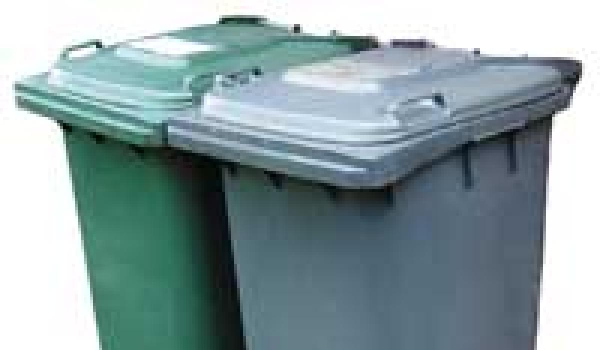 Co Kildare Gardai warn not to leave wheelie bins out for Halloween