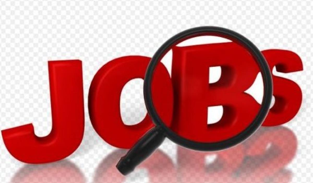 Kildare waste management firm hiring drivers Kildare Now